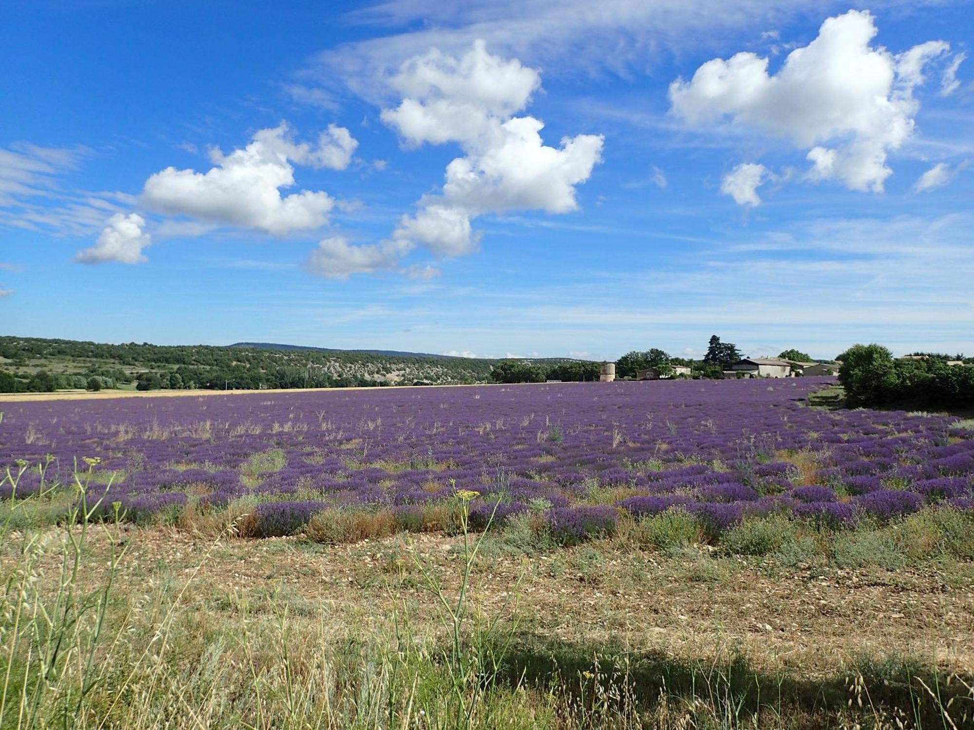 Gite De L'Aspa Saint-Christol  Exterior foto